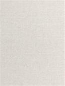 Cast Pumice FR 48114-0000 Sunbrella Fabric
